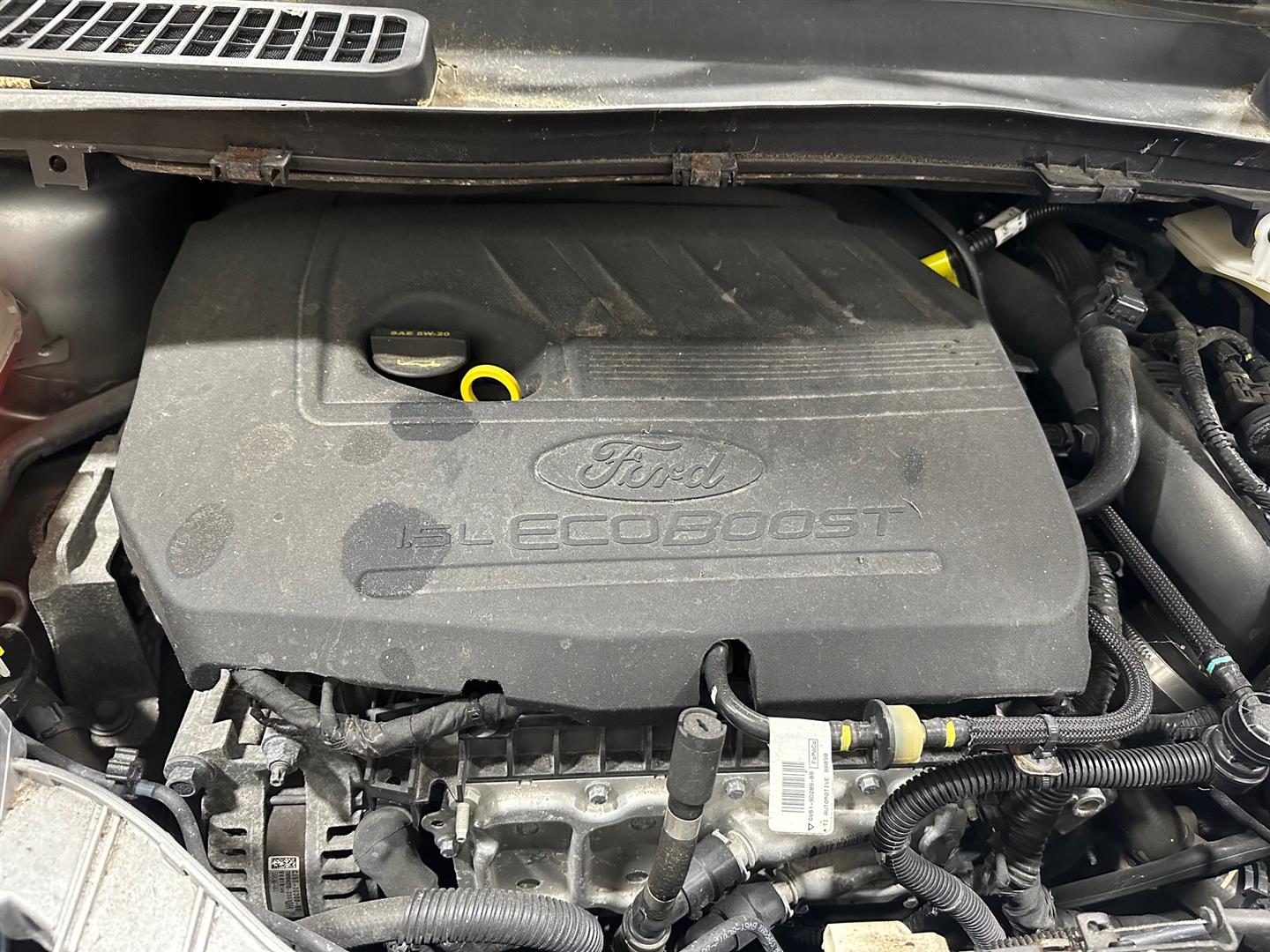 Ford Engine | Lou's Car Care Center, Inc.